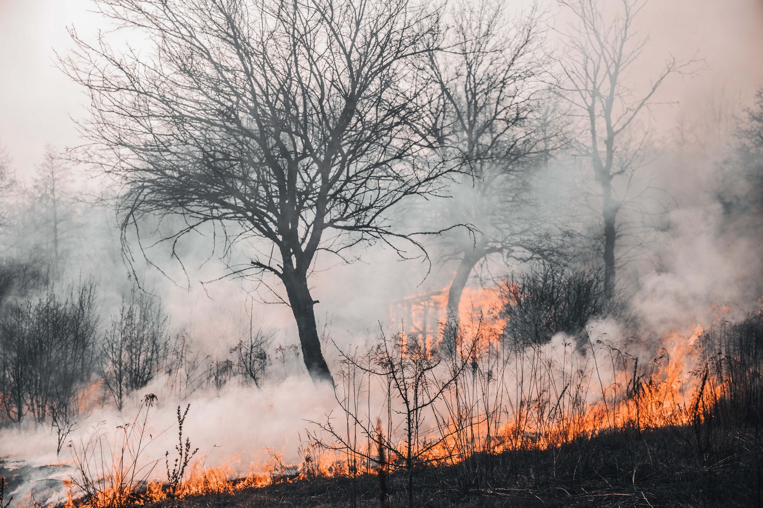 La Guardia Civil investiga a un joven por provocar un incendio forestal en Vélez de Benaudalla 
